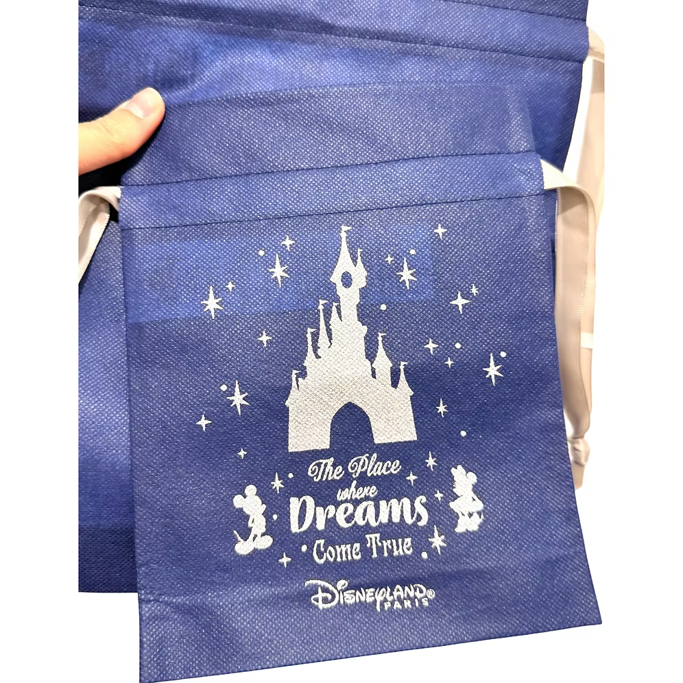 Bolsa regalo Navidad Disneyland Paris