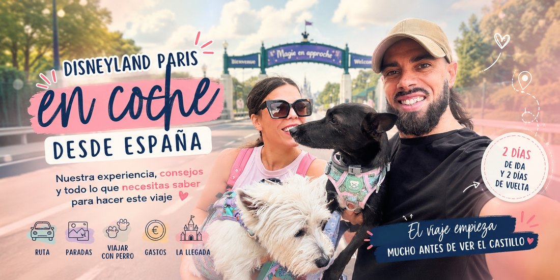 Disneyland Paris en coche desde España: guía y consejos