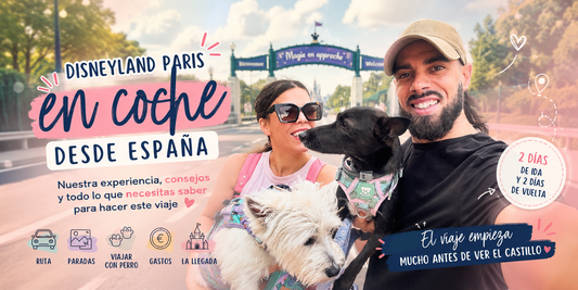 Disneyland Paris en coche desde España: guía y consejos