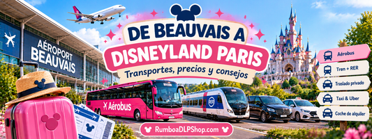 Cómo llegar del aeropuerto de Beauvais a Disneyland Paris en autobús Aérobus, tren y traslado privado