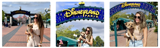 Hoteles pet friendly cerca de Disneyland Paris para viajar con tu perro
