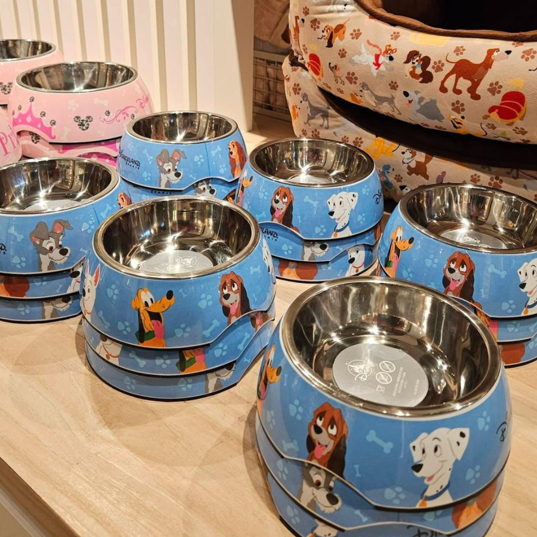 Caja Regalo Mascotas Perro Disneyland Paris