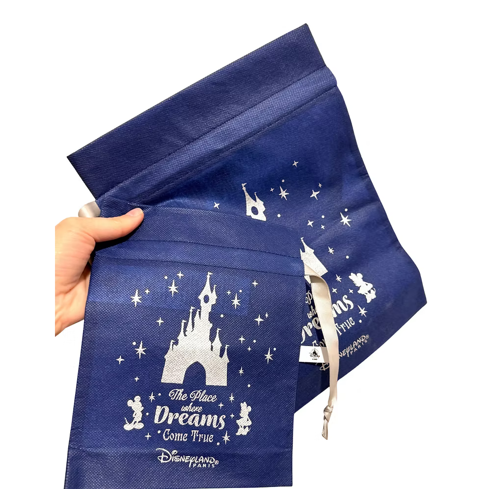 Bolsa regalo Navidad Disneyland Paris