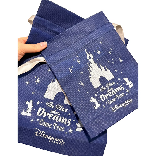 Bolsa regalo Navidad Disneyland Paris