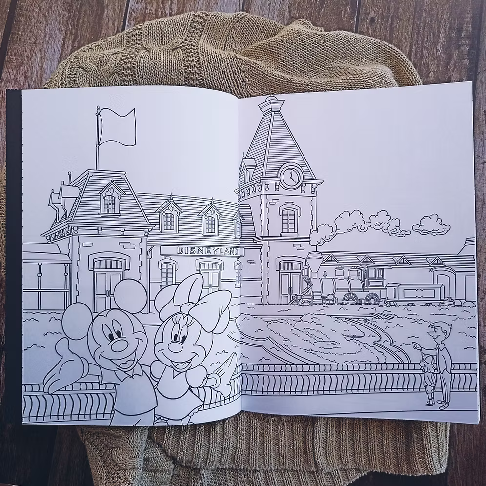 Libro para colorear Disneyland Hachette Heroes