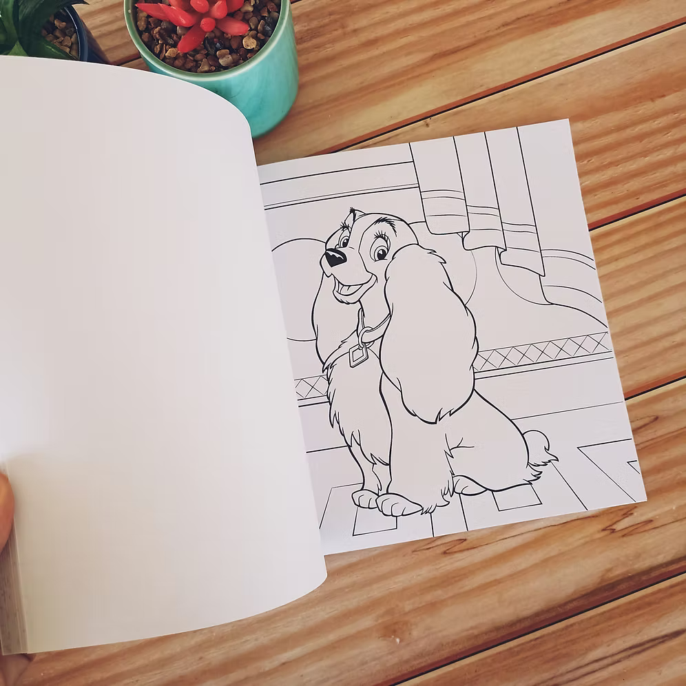 Libro para colorear Retratos Disney Arteterapia Hachette Heroes