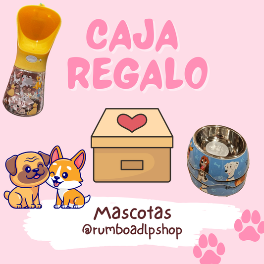 Caja Regalo Mascotas Perro Disneyland Paris